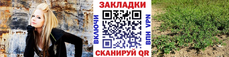 Наркошоп Иваново A-PVP ГАШ Псилоцибиновые грибы Cocaine