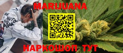 Альфа ПВП Бийск