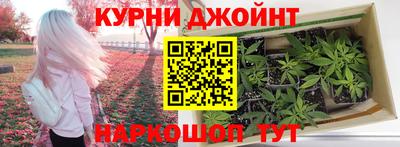 гидропоника Берёзовский