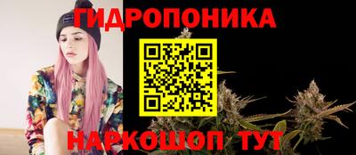 дмт Волжск