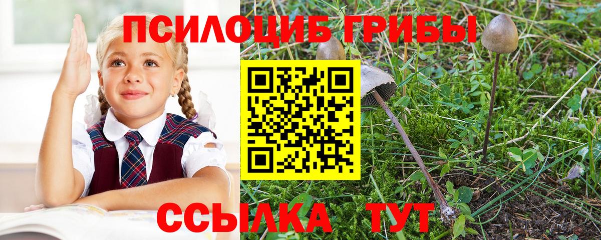 Галлюциногенные грибы прущие грибы  наркошоп  Галлюциногенные грибы Psilocybe  Иваново 