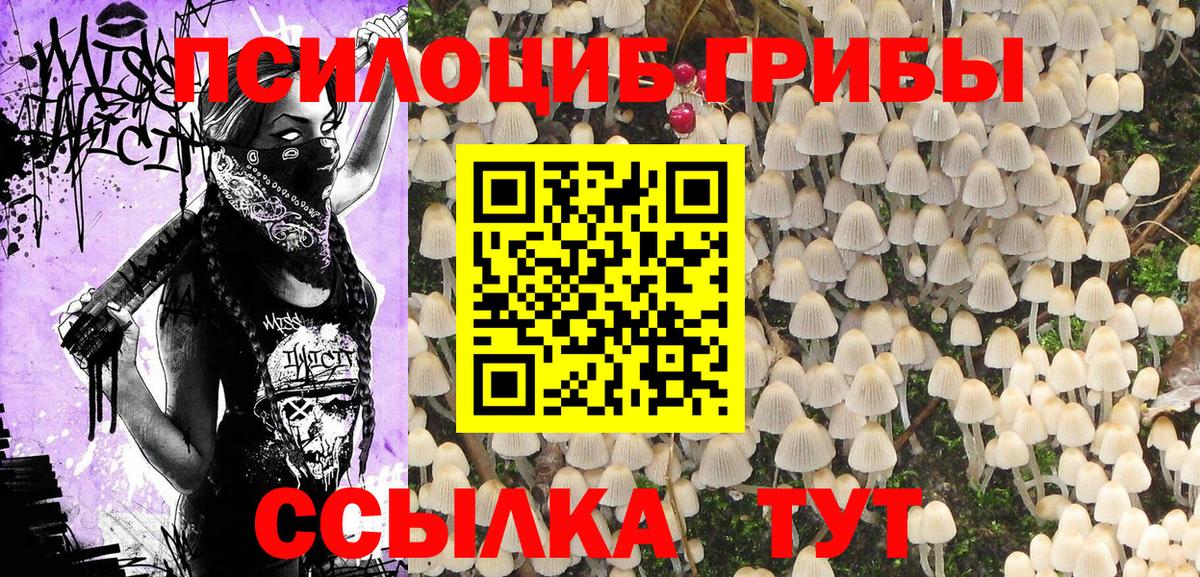 Иваново  Галлюциногенные грибы Psilocybine cubensis  как найти   Вход с VPN  Галлюциногенные грибы Psilocybine cubensis 